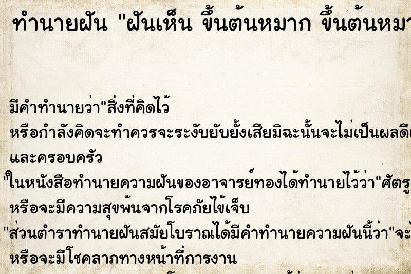 ทำนายฝันฝันเห็นขึ้นต้นหมากขึ้นต้นหมาก ทำนายฝันทำนายฝันฝันเห็นขึ้นต้นหมากขึ้นต้นหมาก